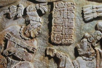 mayas