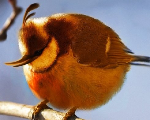 angry birds descargar