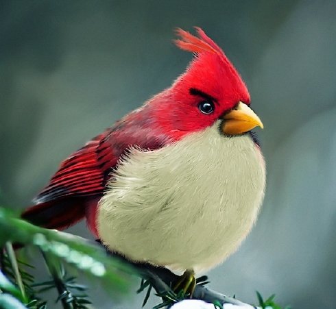 angry birds descargar