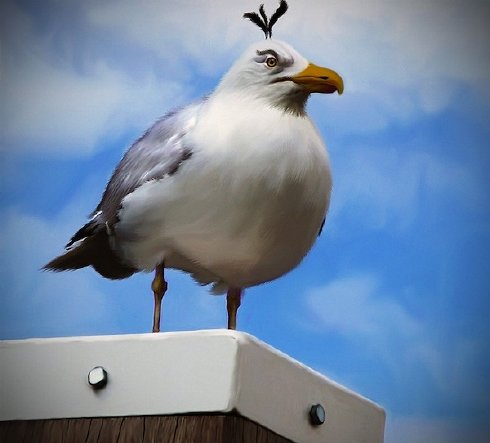 angry birds descargar