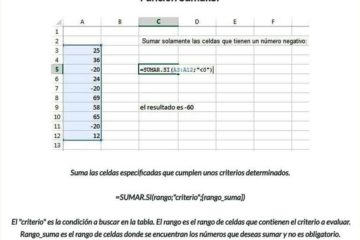 funcion 5