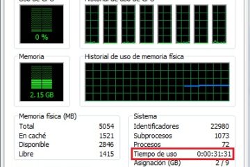 horas de uso pc