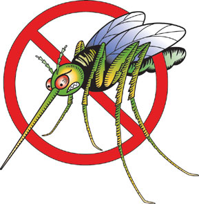 NO al mosquito